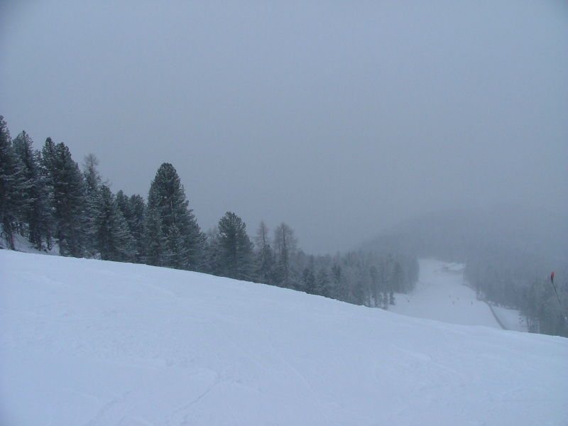 DSCF2795.JPG