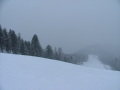DSCF2795.JPG