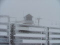 DSCF2911.JPG