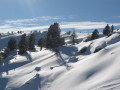 Murau&nbsp;(6 k�p)
