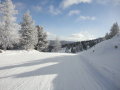 DSC01122.JPG
