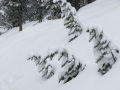DSCF0049.jpg