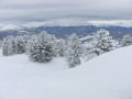 DSCF0097.jpg