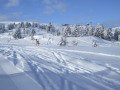 DSCF2772.JPG