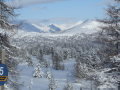 DSCF2774.JPG