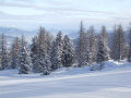 DSCF2776.JPG