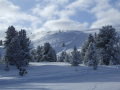 DSCF2777.JPG