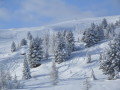 DSCF2778.JPG