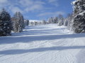 DSCF2782.JPG