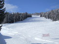 DSCF2789.JPG