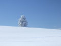 DSCF2825.JPG
