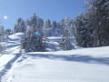 DSCF2837.JPG