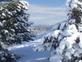 DSCF2842.JPG