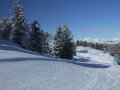 DSCF2845.JPG