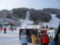 Myto-kp-011.JPG