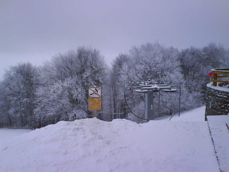 DSC00717.JPG