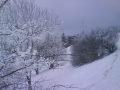 DSC00725.JPG