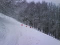 DSC00728.JPG
