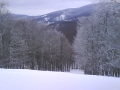 DSC00729.JPG