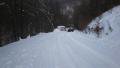 P2020310-Medium.JPG