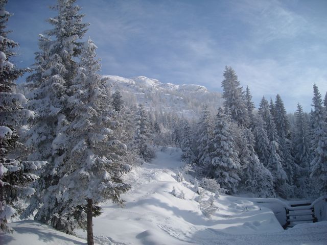 DSCN1289.jpg