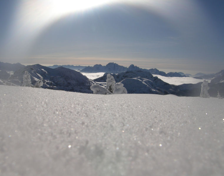 P1150863.jpg