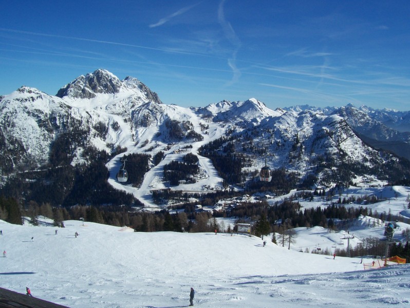 100-1463.jpg
