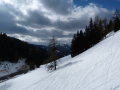Niederalpl&nbsp;(29 k�p)