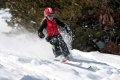 2C9E3230-resize.JPG