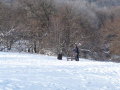 Normafa s�p�ly�k 2010. dec. 5.&nbsp;(11 k�p)