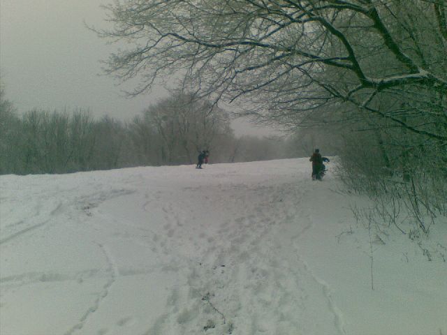 20100106009.jpg