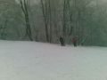 20100106001.jpg