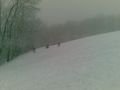 20100106003.jpg