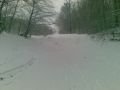 20100106004.jpg
