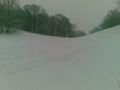 20100106005.jpg