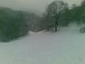 20100106006.jpg
