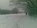 S�el�s a Normaf�n�l 2010.01.06.&nbsp;(19 k�p)
