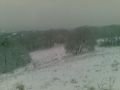 20100106017.jpg