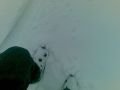 20100106018.jpg