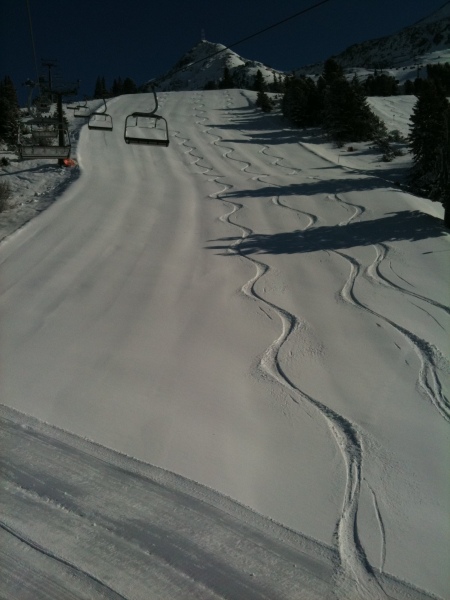 IMG-0575.JPG