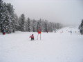 opel_difer_kupa_2008_010.JPG