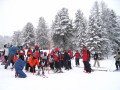 opel_difer_kupa_2008_013.JPG