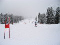 opel_difer_kupa_2008_014.JPG
