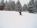 opel_difer_kupa_2008_032.JPG