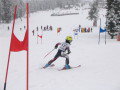 opel_difer_kupa_2008_036.JPG