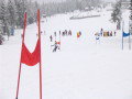 opel_difer_kupa_2008_037.JPG