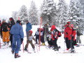 opel_difer_kupa_2008_038.JPG