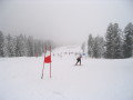 opel_difer_kupa_2008_048.JPG