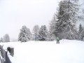 opel_difer_kupa_2008_080.JPG