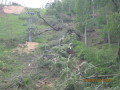 800-IMG-2758.JPG